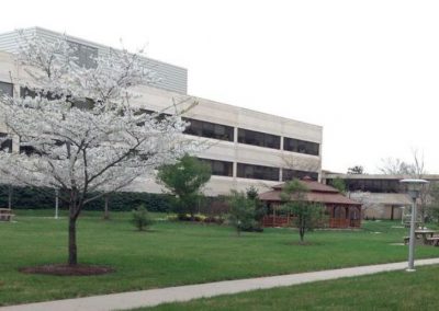 Ericsson – NJ